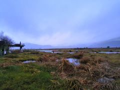 -腾冲北海湿地