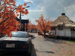 -Blue Concept Cafe&Farm·關於藍