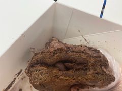 -PAPER STONE BAKERY(天汇广场店)