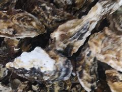 -宾朋海鲜特色美食餐厅·纯手工鲅鱼水饺(兴海路店)