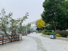 -放鹰台遗址
