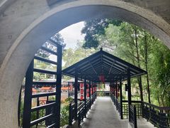 -侨美·唐荔园·40年地道粤菜