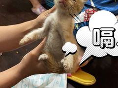 -艾贝尔宠物诊疗