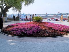 -人民防洪胜利纪念塔