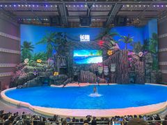 -珠海长隆海洋王国