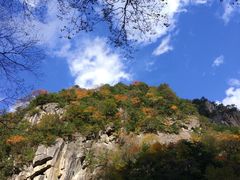 -青峰峡国家森林公园