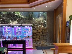 -将军关探险漂流