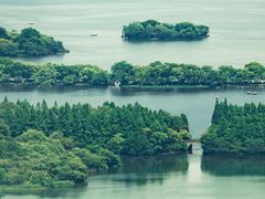 -中国茶叶博物馆(双峰馆区)
