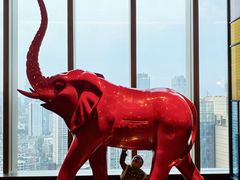 -金鹰国际酒店·满园春中餐厅