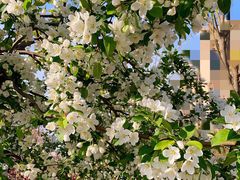 -天津东丽湖风景区