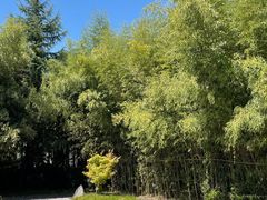-西安凯悦酒店·湖畔中餐厅