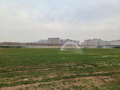 -汉长安城未央宫国家考古遗址公园