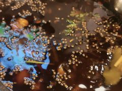 -味之绝热血美蛙鱼火锅(中坝店)