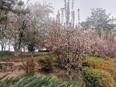 -元大都城垣遗址公园