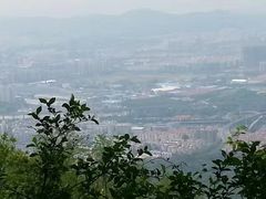 -紫金山山顶公园