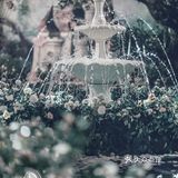 OneWedding丨属于你的花园婚礼
