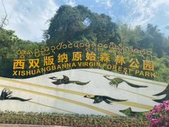 -西双版纳原始森林公园