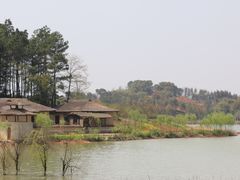 -杏花村文化旅游区