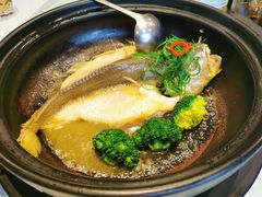 砂锅焗黄鱼-贴阁碧(百丈东路店)