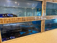 -大河宴·椒麻鱼火锅(米东区店)