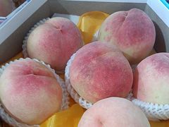 -南汇水蜜桃采摘(大团店)