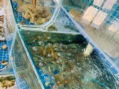 水产区-蟹谢蒸鲜自助餐厅