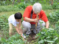 -前小桔亲子创意农场·草莓采摘·露营烧烤