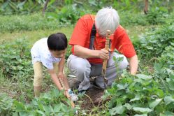 -前小桔亲子创意农场·草莓采摘·露营烧烤