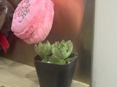 -海马体照相馆(上海宝山万达广场店)
