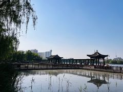 -莲花池公园