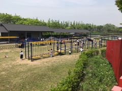 -杭州湾海上花田景区