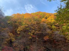 -龙道沟景区