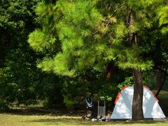 -上海共青森林公园