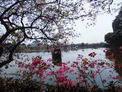 -星湖旅游景区七星岩