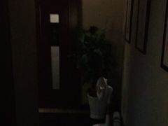 -裕和堂中医推拿艾灸(太古汇臻品店)