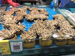 -三亚火车头万人海鲜广场