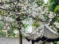 -成都杜甫草堂博物馆