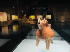 -山东博物馆