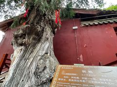 -玉泉观