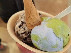 -极拉图·现制冰淇淋(大卫城店)