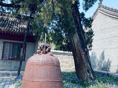 -黄帝陵