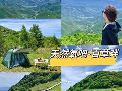 -白草畔自然风景区