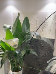 -春田皮肤管理中心品牌旗舰店