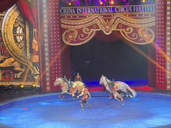 -珠海横琴长隆《卡卡虎奇遇记》