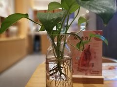 -炖物24章·顺时轻养茶(黄龙店)