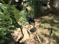 -济南野生动物世界