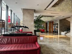 -大同云冈美高大酒店
