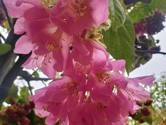 -柳侯公园