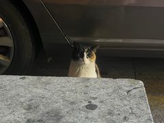 -便利蜂(广安门内大街319号店)