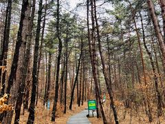 -帽儿山国家森林公园